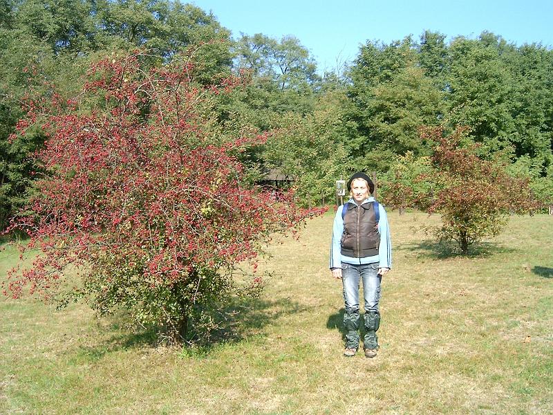 2010.10.09. 037.jpg